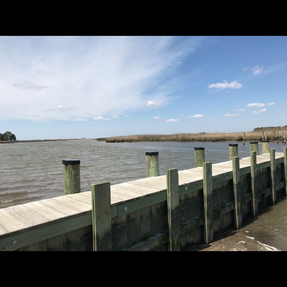 Meet your Posher, Richard